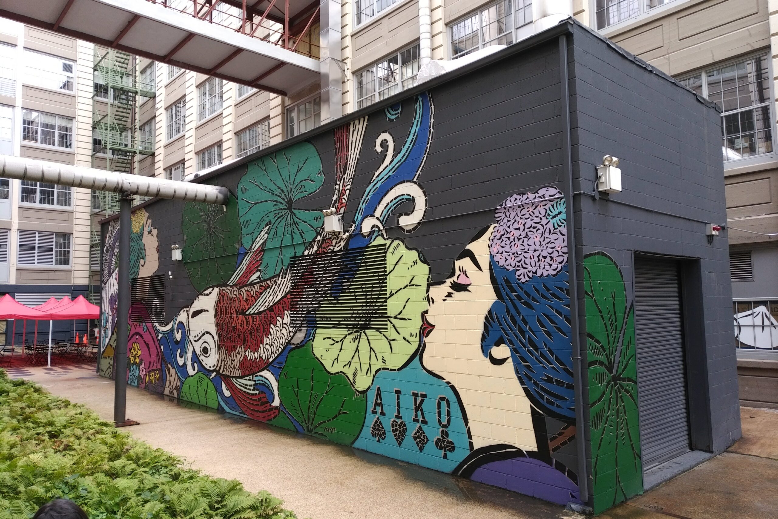 Small Brooklyn Psychology Contact