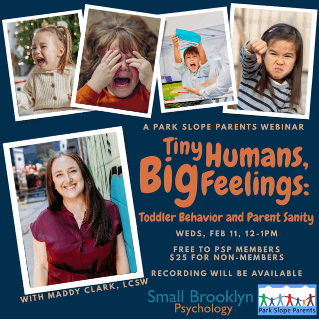 2026-Feb-11 Tiny Humans, Big Feelings: Toddler Behavior and Parent Sanity